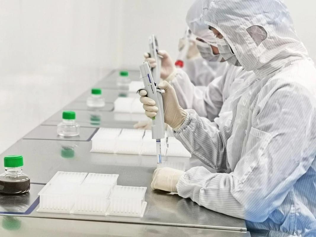 公司开展新型冠状病毒核酸检测试剂研发,图为该公司生物实验室一角