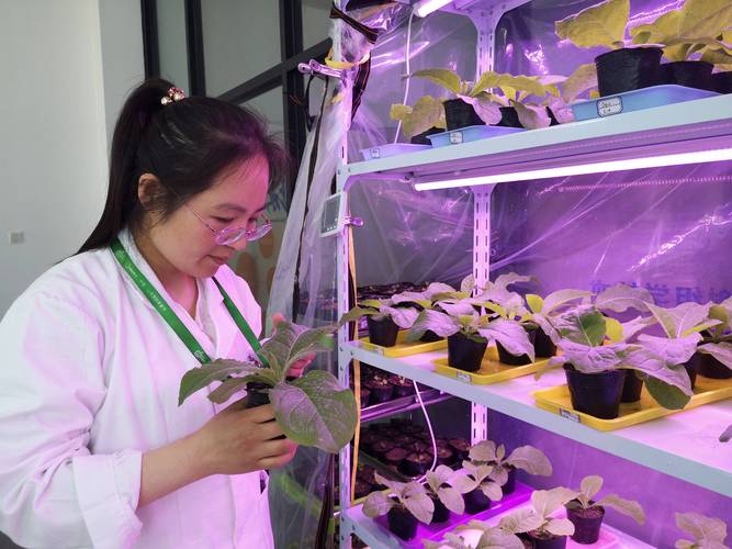 烟台水禾土生物科技自主研发新型创制类生物农药